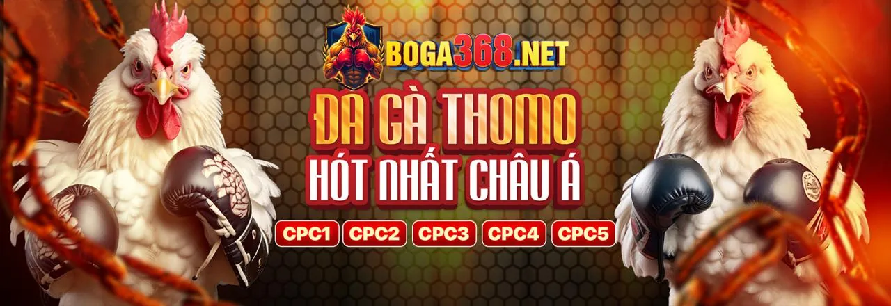 Đấu trường đá gà trực tuyến s999 code 2026
